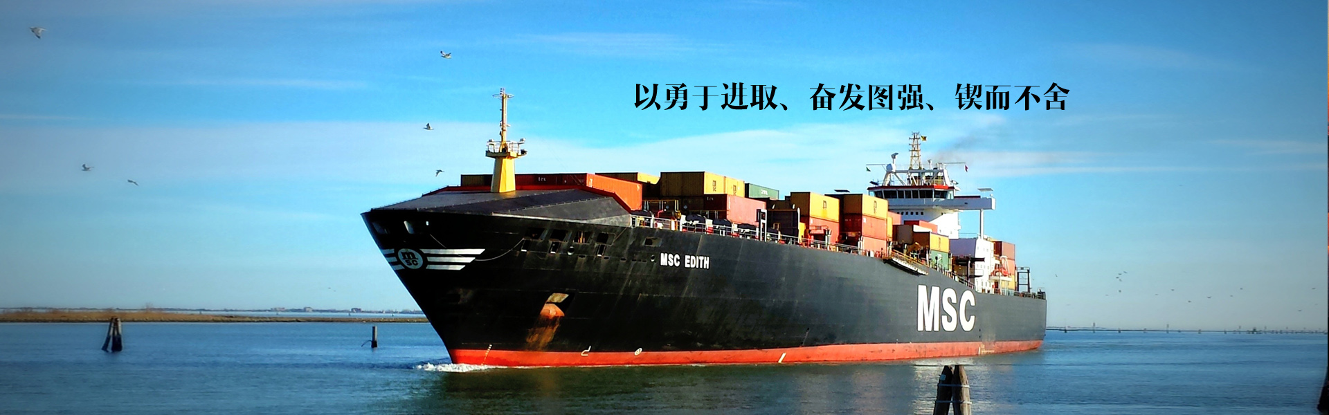 上海性息网